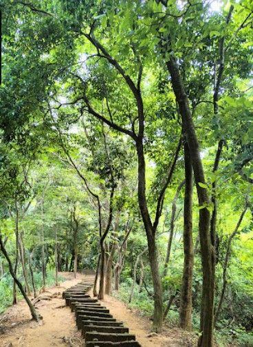 alinagar eco park Image