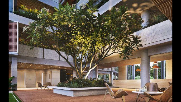 Edison Desdemona Basundhara বসুন্ধরা আবাসিক এলাকা