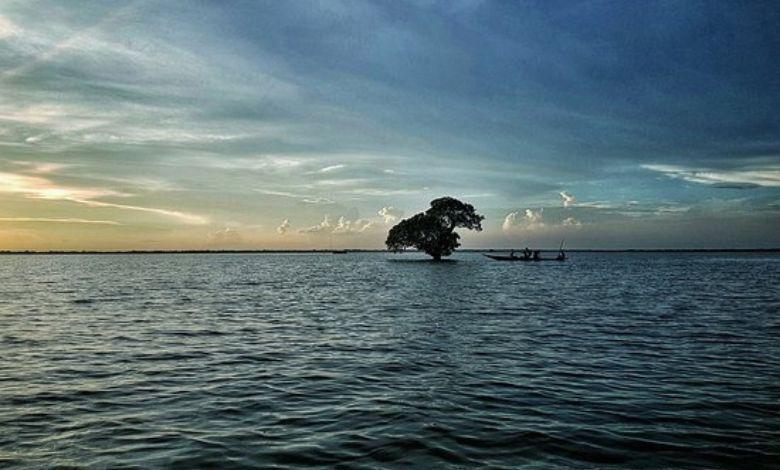 hakaluki haor এর ছবি