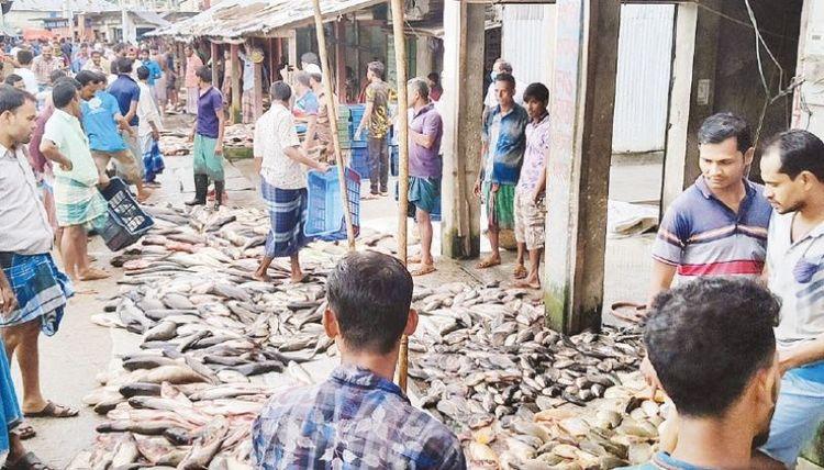 barishal district fish wholesale market এর ছবি