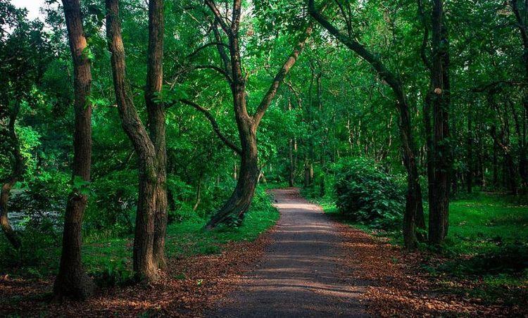 madhupur-gor এর ছবি