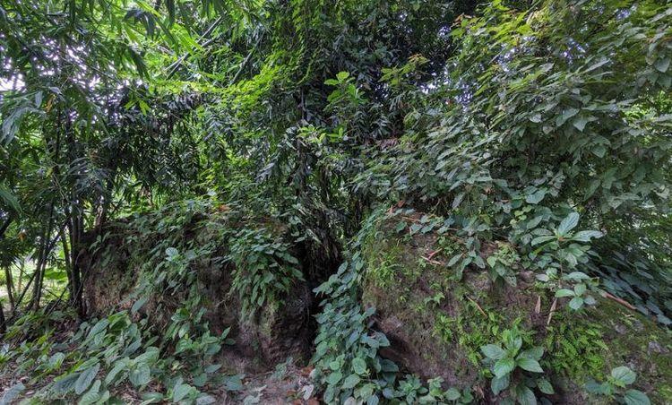 kuthipara neel kuthi এর ছবি