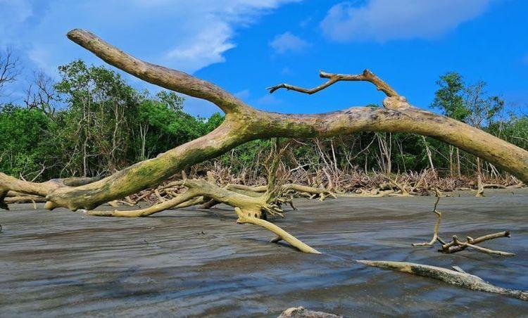 tengragiri sea beach এর ছবি