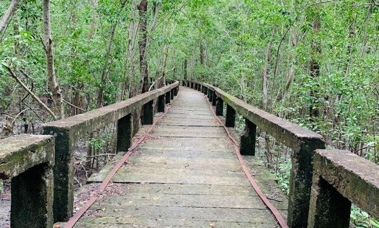 horinghata mangrove forest & wildlife sanctuary এর ছবি