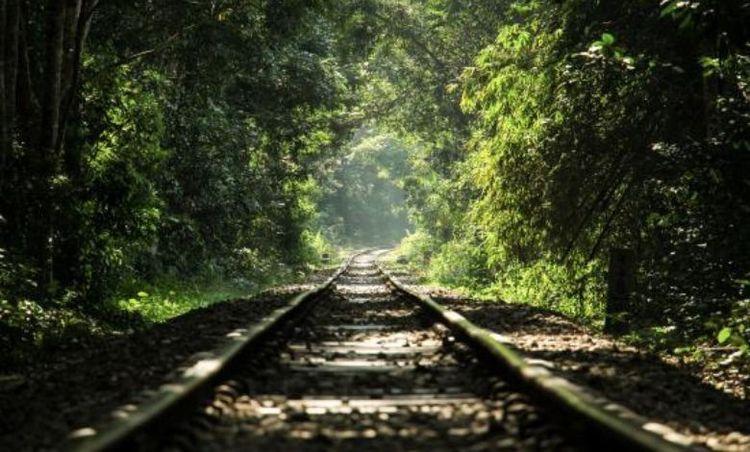 lawachara national park এর ছবি