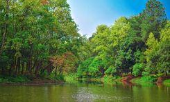 Bhawal National Park গাজীপুর
