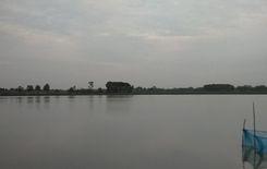 bhutia padma beel তেরোখাদা