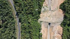 elephant overpass লোহাগাড়া