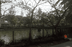 gorosthan road pond বেলতলা ফেরি ঘাট