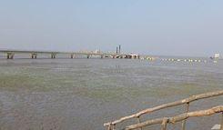 magdhara ferry ghat সন্দ্বীপ
