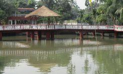 mohishashi mohammadi garden Dhamrai