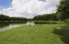 salora forest মুক্তাগাছা