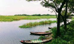 sarighat কেরানীগঞ্জ