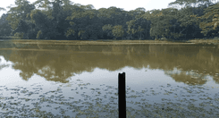 shat shatiner dighi নাজির মহল্লা