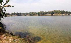 kalyan dighi রাজবাড়ী