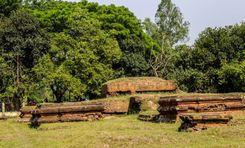 satyapirer bhita নওগাঁ