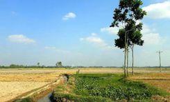 roair dighi জয়পুরহাট