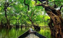 ratargul swamp forest সিলেট