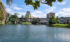 bahaddarhat pond area নাসিরাবাদ