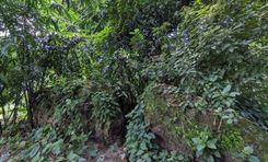 kuthipara neel kuthi গংগাচড়া