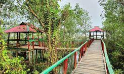 kathalia muktijoddha eco park ঝালকাঠি