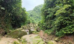 chandradinga, panchgaon, kalmakanda নেত্রকোনা