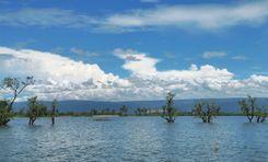 tanguar haor Sunamganj