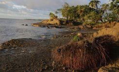 monpura island ভোলা